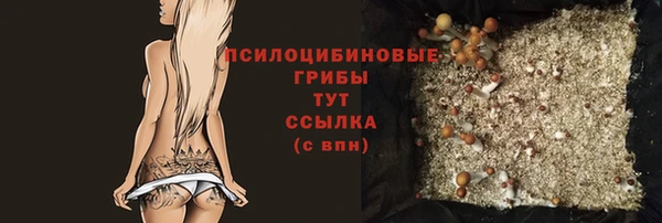 молекула духа Балахна