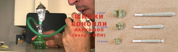 молекула духа Балахна