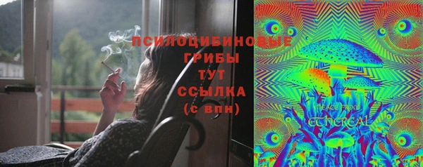 прущая мука Апатиты